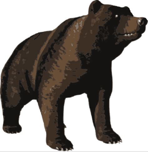 Bear Png Svg Clip Art For Web Download Clip Art Png Icon Arts