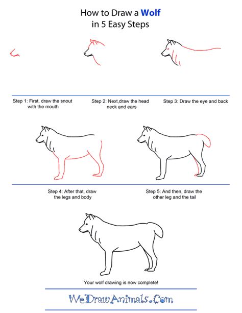 How To Draw A Step By Step Wolf