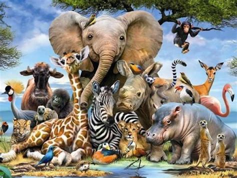 Qual animal você seria de acordo com sua personalidade? | Quizur