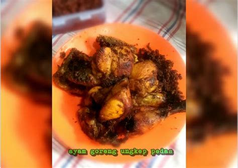 We did not find results for: Resep Ayam Goreng Ungkep Pedas oleh Bunda Yunni💞 - Cookpad