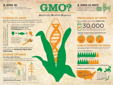 Genetically modified food (gmf) means any food containing or derived from a genetically engineered organism 10). Genetically Modified Food & IBD | Caring for Crohn's & UC