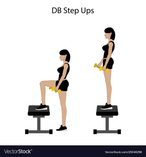 Db Step Ups Exercise Royalty Free Vector Image