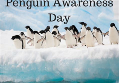 What do you call it when your cat gets hurt? Penguin Awareness Day is January 20 | Macaroni Kid ...