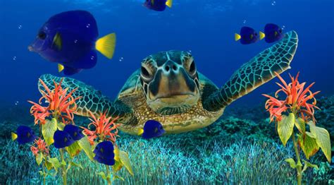 Animated Aquarium Wallpaper