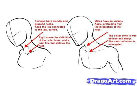 How To Draw Anime Necks Guy Drawing Guided Drawing Anatomy Drawing