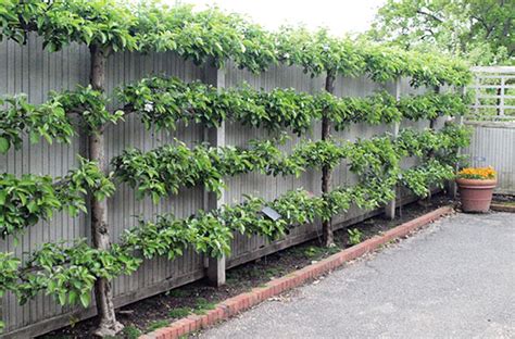 Garden design is the art and procedure of designing and producing strategies for|prepare for%] model and planting of gardens and landscapes. Design an Edible Landscape