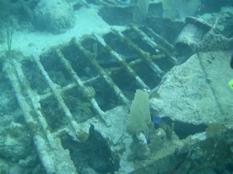 BLUE ADVENTURES SCUBA DIVING (Paradise Island): Ce qu'il faut savoir