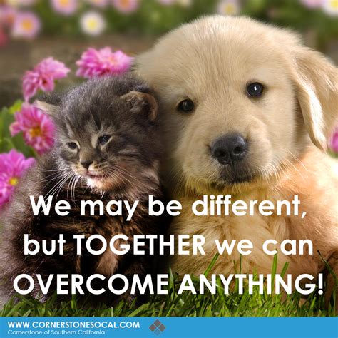 We May Be Different But Together We Can Overcome Anything Together