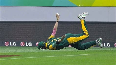 The Best Catches In Cricket History Of All Time Youtube