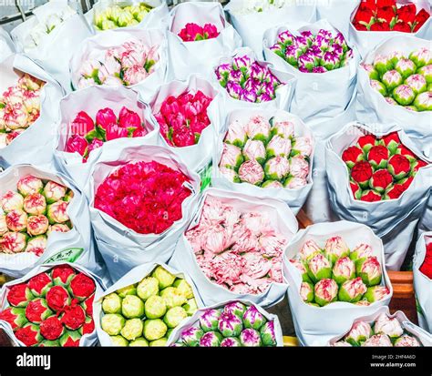 Beautiful Flowers At The Outdoor Flower Market In Hong Kong Stock Photo