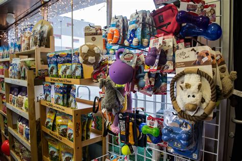Pet Stores In Chicago For Dog Leashes Cat Collars And More
