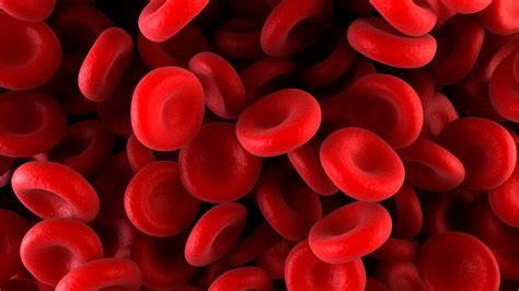 Outside In Iron Deficiency Anemia Everyday Health