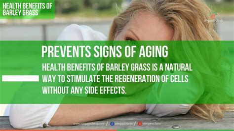 Top Health Benefits Of Barley Grass Benefits Of Barley Grass YouTube