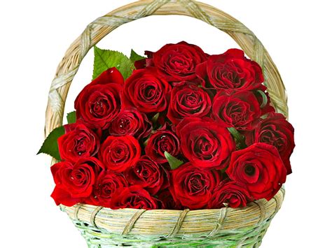 Red Roses With Love Red Pretty Rose Roses Petals Bonito Red Rose