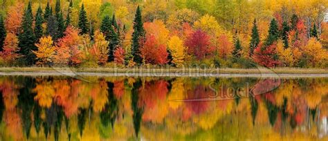 Panoramic Image Of Canadian Autumn Landscape Ontario World