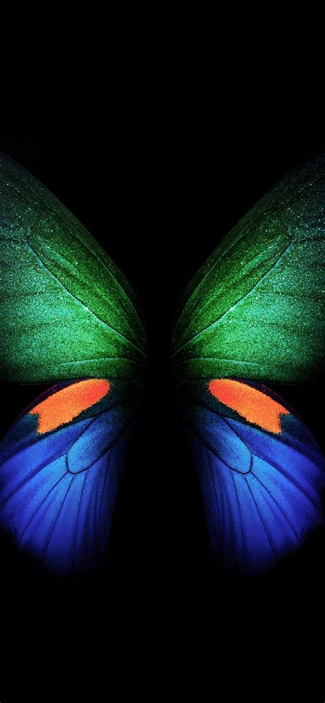 Butterfly Wallpaper 4k Samsung Galaxy Fold