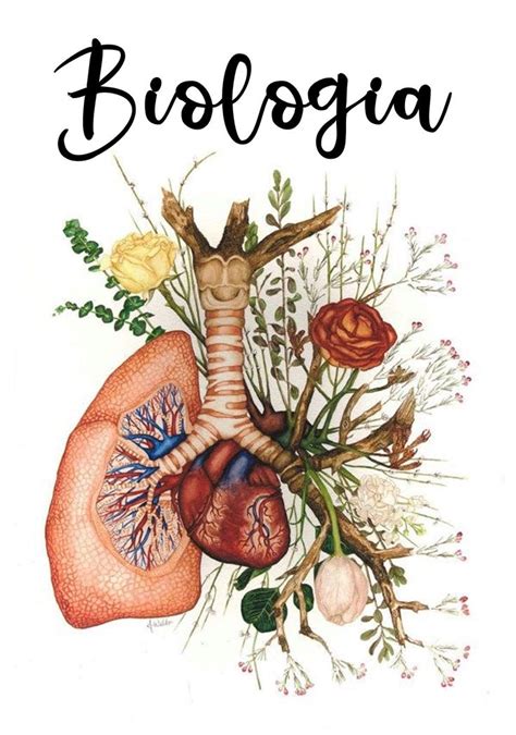 Biology Portada Biology Divisrias Para Fichrio Biologia Lungs Art Anatomy Art Medical Art