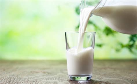 World Milk Day 2023 Doodh Kis Time Peena Chahiye Know 6 Benefits Of Drinking Milk Everyday