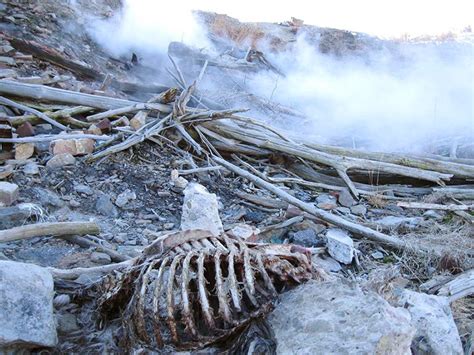 About Centralia Pa And The Mine Fire