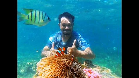 Snorkeling Anak Pulau Di Pulau Lemukutan Teluk Melano Barat Youtube