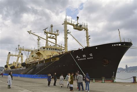 Fleet Returns From Japans Last Scientific Whaling In Antarctic Sea
