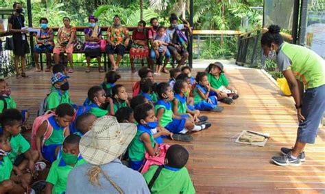 Coronavirus Closures Threaten Future Of Papua New Guineas Only Animal
