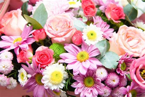 Bright Flower Bouquet Stock Photo Image Of Beauty Fresh 20848758