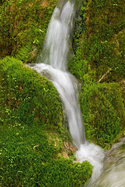 Water Streaming Over Green Moss Stock Image Image Of Green Fresh