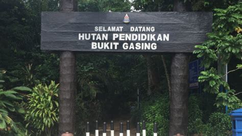 Bukit gasing amat sesuai untuk beginner atau sebagai permulaan dalam arena hiking. Bukit Gasing - Share My Hikes | Hikers For Life