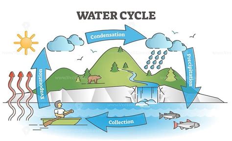 Water Cycle Diagram With Simple Rain Circulation Explanation