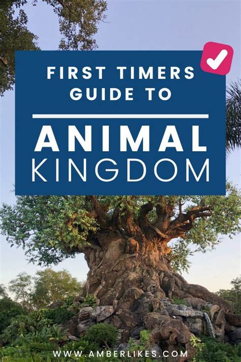 An Animal Kingdom Tree With The Text First Timers Guide To Animal Kingdom