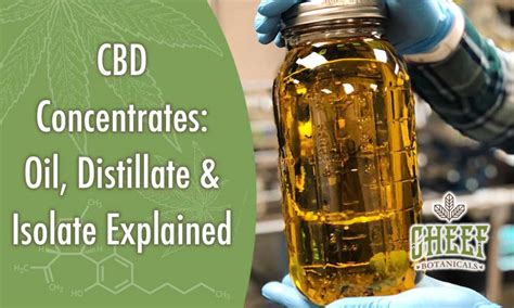 cbd concentrate whats the difference oil distillate and isolate explained
