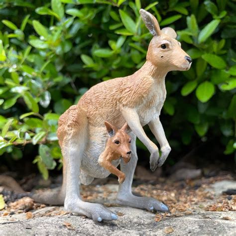 Kangaroo With Joey Toy Wildlife Animal Toys Safari Ltd