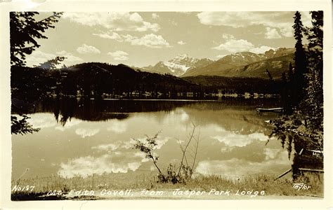 Postcard 14477 Taylor G Morris Mt Edith Cavell From Jasper Park