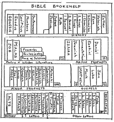 Bible Bookshelf Coloring Pages : Best Place to Color