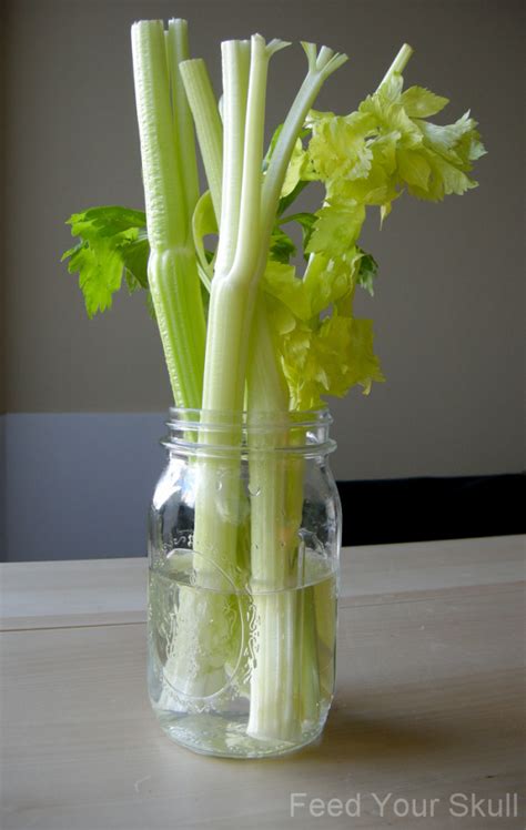 Make Your Celery Crisp Again