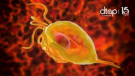 Most people get cryptosporidium infection from contaminated food and water. Trichomoniasis | STD Testing | DTAP Clinics Malaysia
