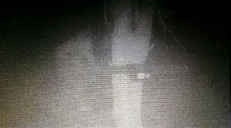 The Search For Bigfoot Comes To East Texas Cbs19tv