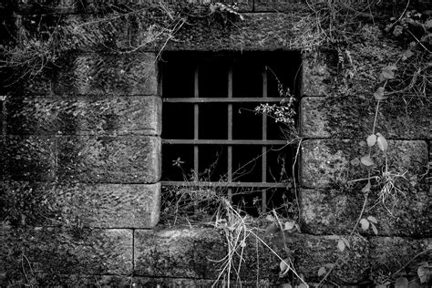 Window Closed By A Lattice Free Stock Photo Public Domain Pictures