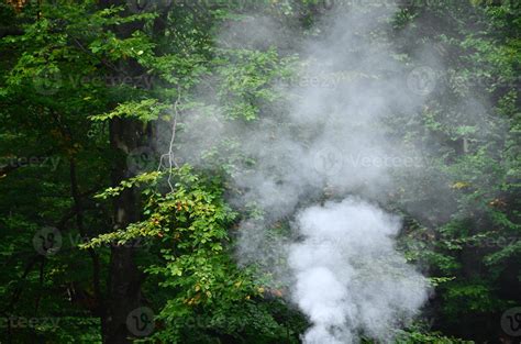 White Smoke Spreads Over The Background Of Forest Trees 12858276 Stock