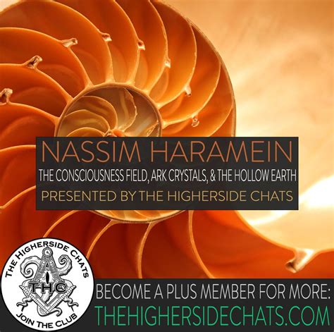 Nassim Haramein The Consciousness Field Ark Crystals And The Hollow Earth • The Higherside Chats