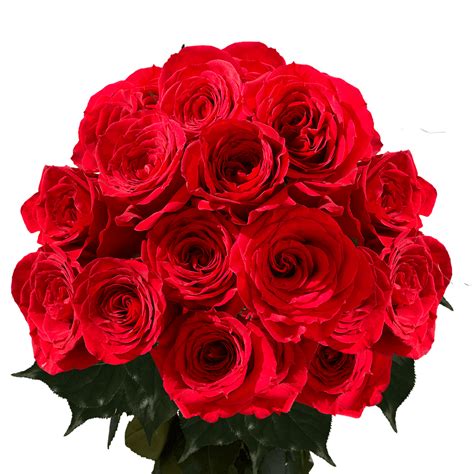 Two Dozen Red Roses Beautiful Fresh Cut Flowers Express Delivery