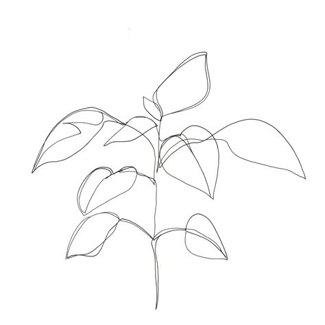 One Line Minimal Artwork Plants And Leaves Minimalist Line Drawing