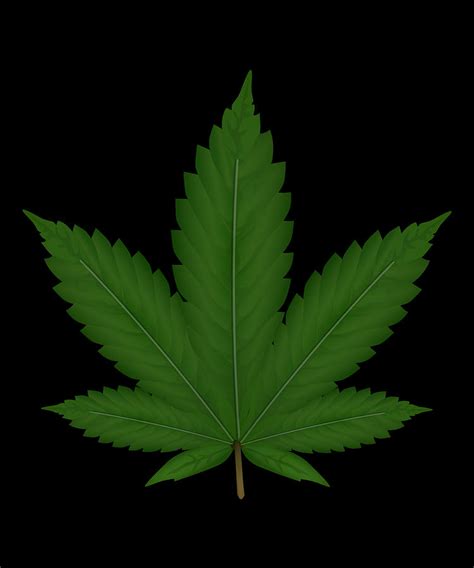 Abstract Cannabis Weed Leaf Art Design Digital Art By Calnyto Pixels