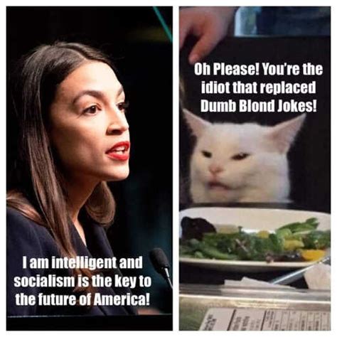 Smudge The Cat And Angry Lady Meme Gallery Politically Incorrect Humor