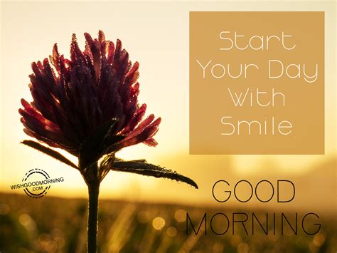 Start You Day With Smile Good Morning Pictures