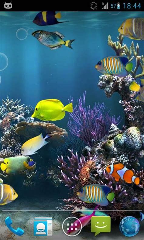 Free Download Fish Aquarium Live Wallpaper Now Watch Fishes Moving In