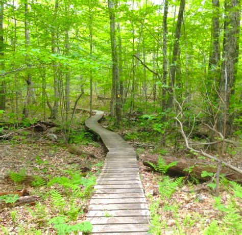 The Midstate Hiking Trail Extends Across Massachusetts