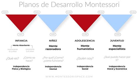 Los 4 Planos Del Desarrollo De Montessori Imi