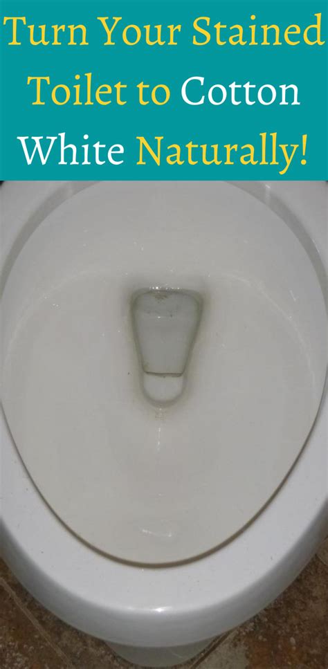 The best granite cleaners for your countertops. How to Clean a Stained toilet | Toilet bowl stains, Toilet ...